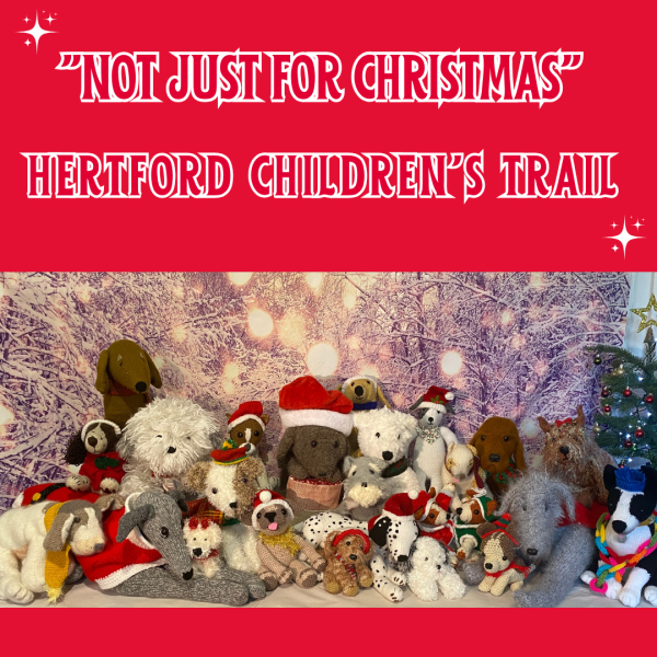 Children's Christmas Trail 