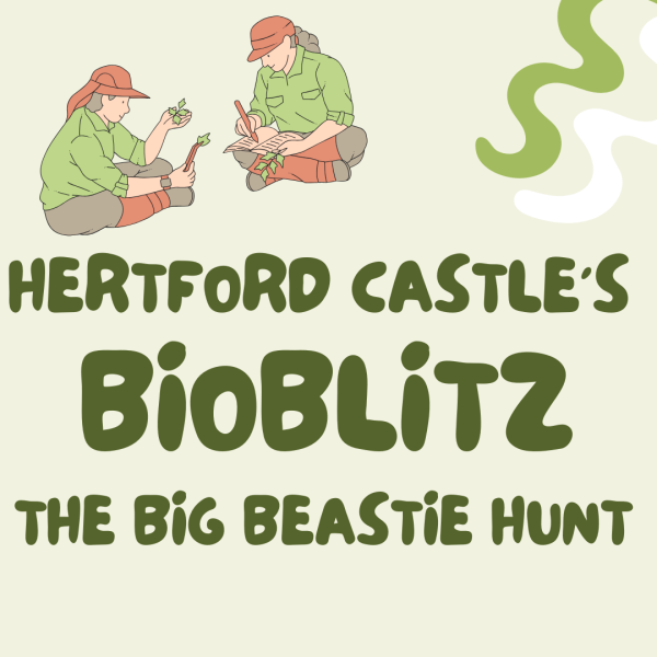 Hertford Castle BioBlitz